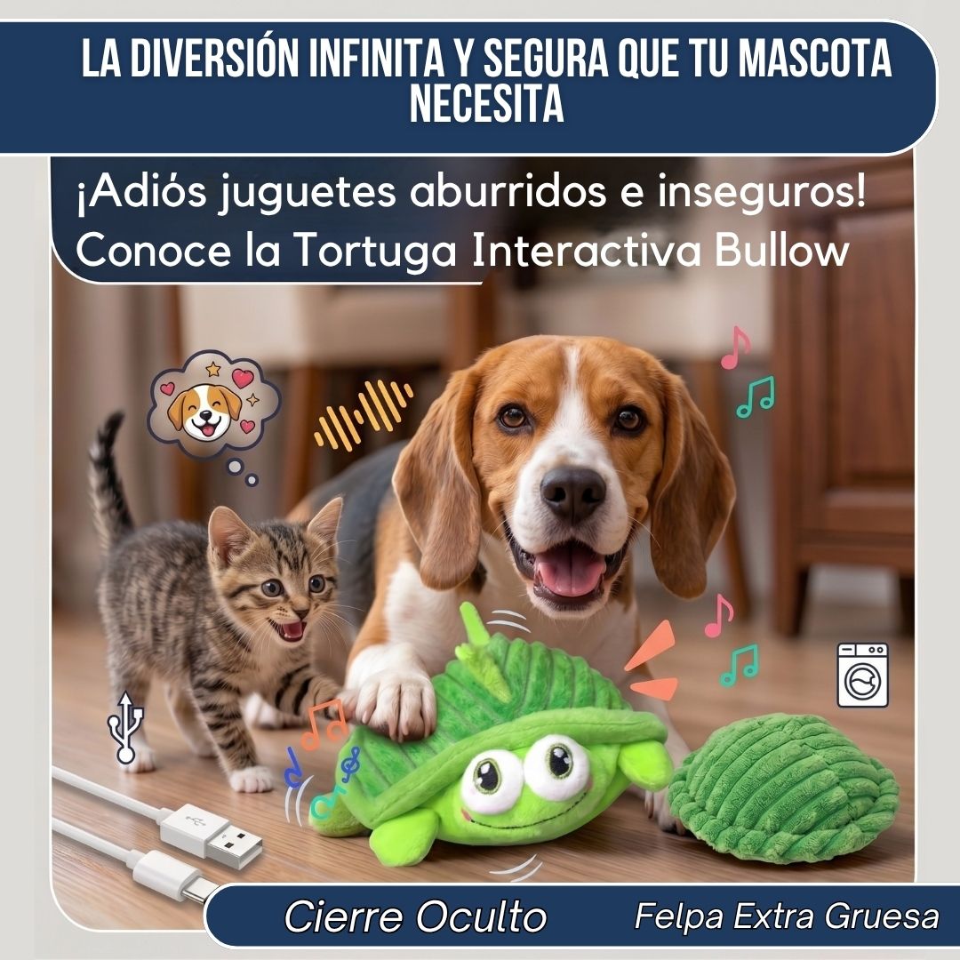 Tortuga Interactiva Anti-Aburrimiento | BULLOW