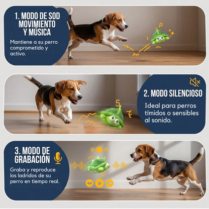 Tortuga Interactiva Anti-Aburrimiento | BULLOW