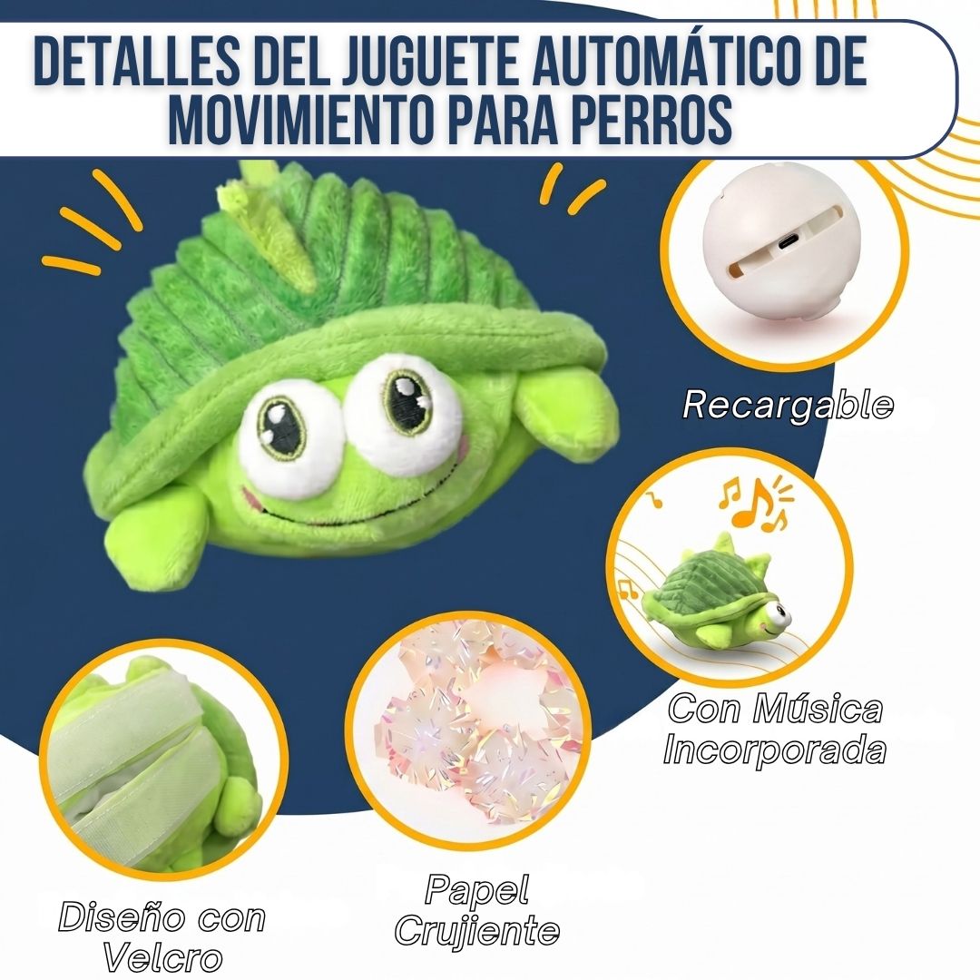 Tortuga Interactiva Anti-Aburrimiento | BULLOW