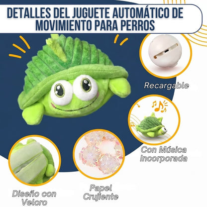 Tortuga Interactiva Anti-Aburrimiento | BULLOW
