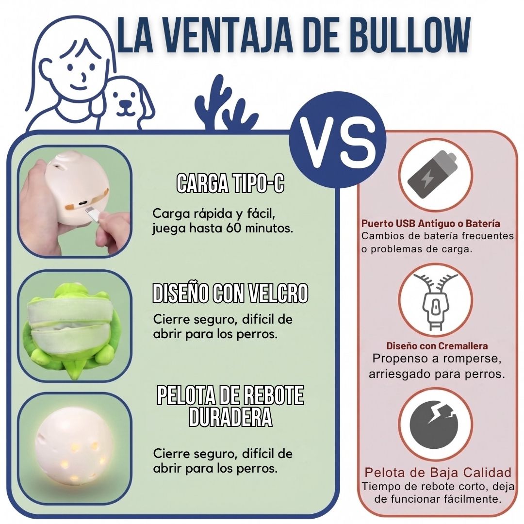 Tortuga Interactiva Anti-Aburrimiento | BULLOW