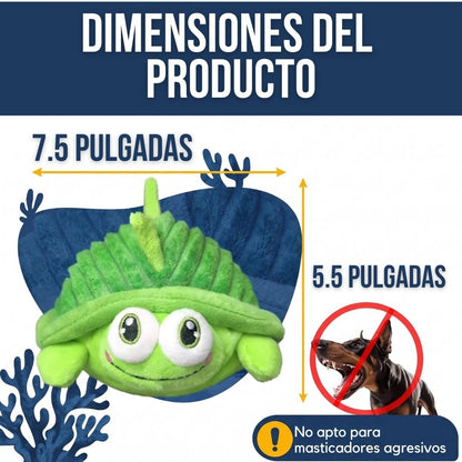 Tortuga Interactiva Anti-Aburrimiento | BULLOW
