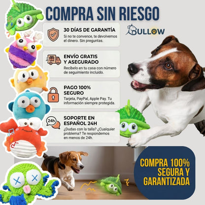 Tortuga Interactiva Anti-Aburrimiento | BULLOW