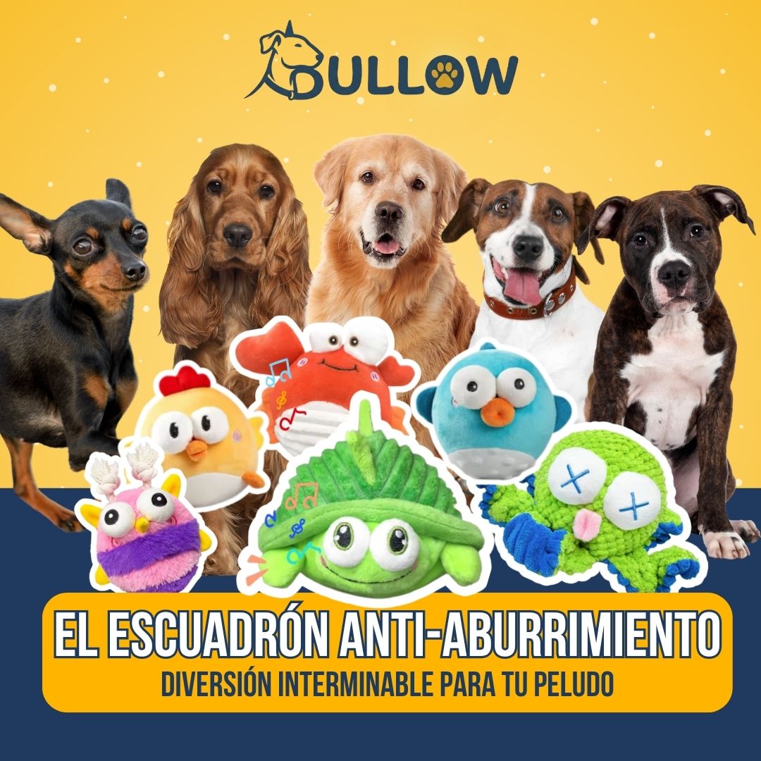 Tortuga Interactiva Anti-Aburrimiento | BULLOW