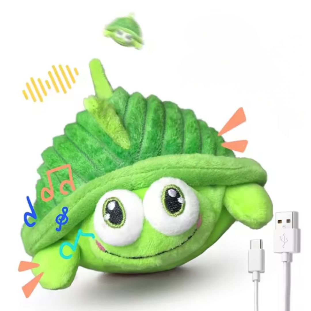 Tortuga Interactiva Anti-Aburrimiento | BULLOW
