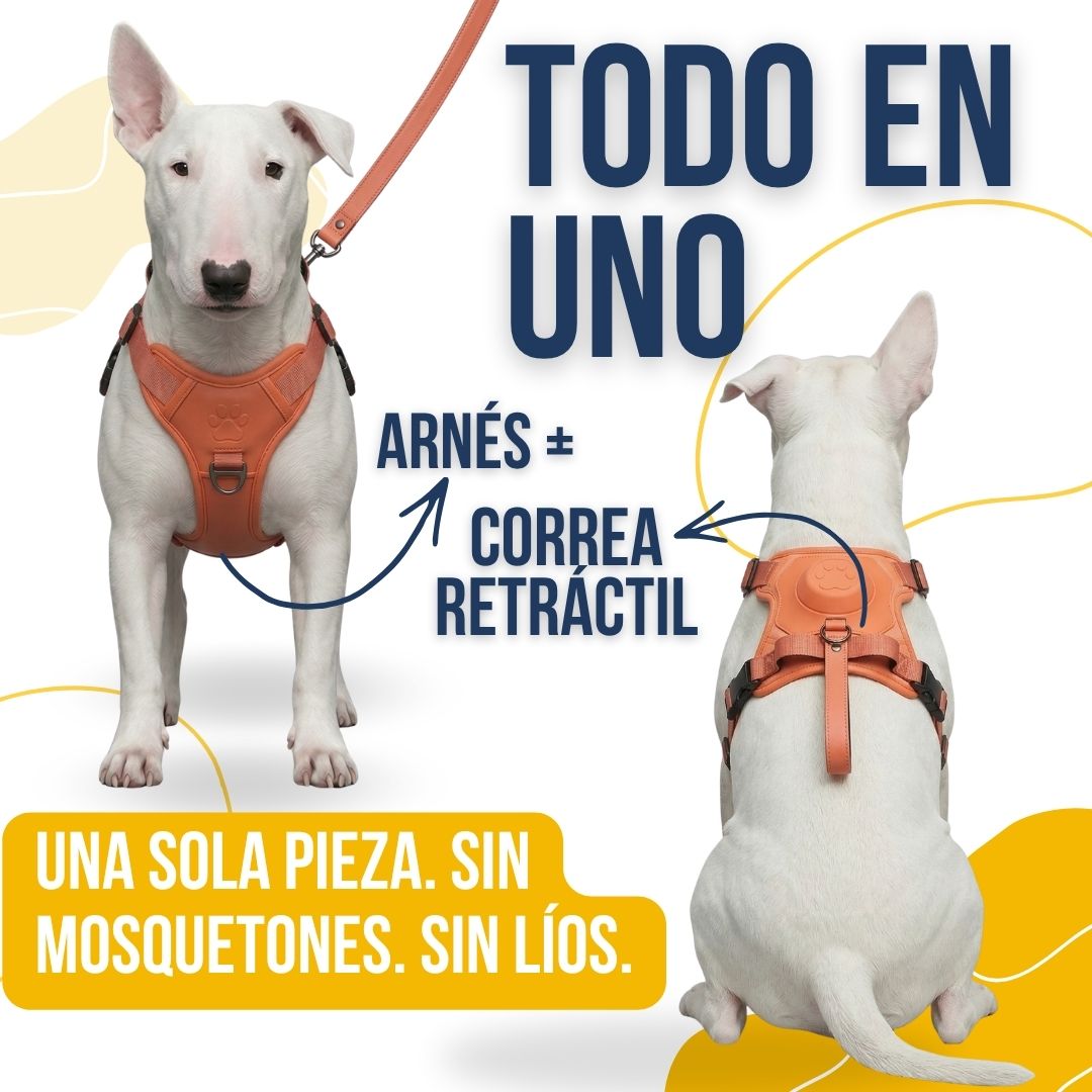 Arnés Todo en Uno con Correa Retráctil Anti-Escape